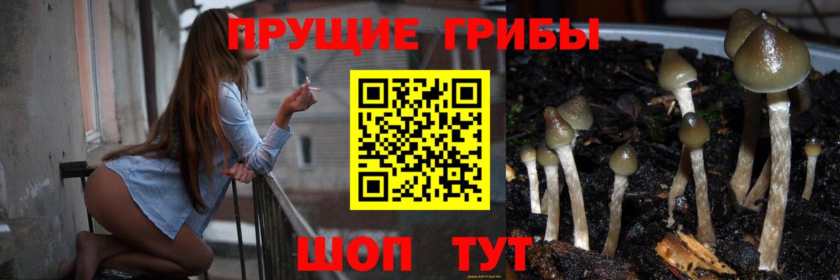 Псилоцибиновые грибы MAGIC MUSHROOMS  Вход с VPN  Самара 